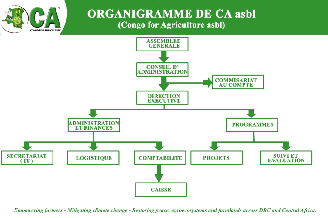 Organigramme